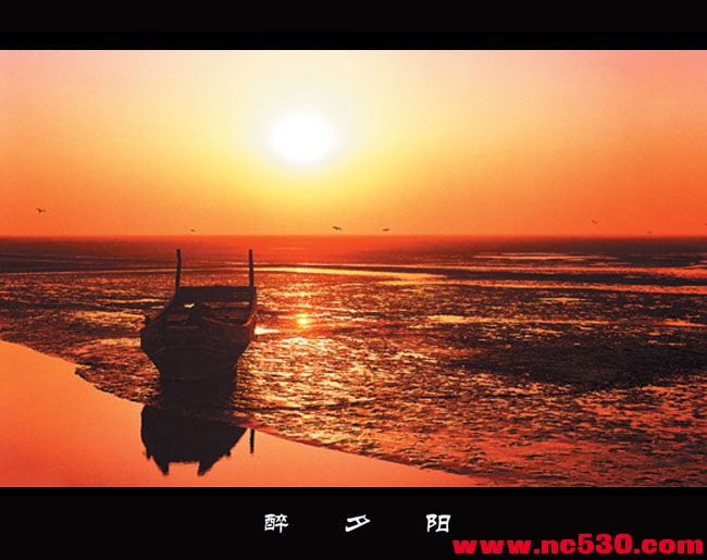 醉夕阳 (3).jpg