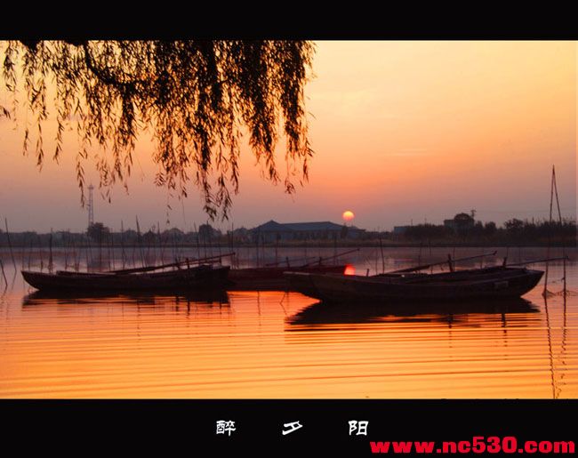 醉夕阳 (7).jpg