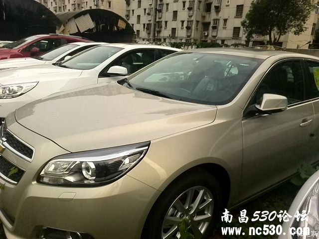 江西 南昌 又多了一辆迈锐宝