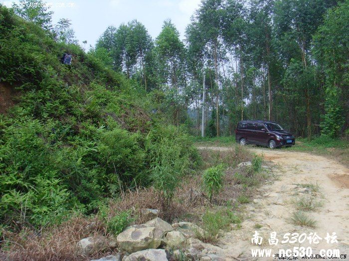 小欧伴我上山下乡钓鱼游山玩水...........