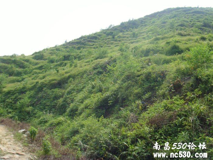 小欧伴我上山下乡钓鱼游山玩水...........