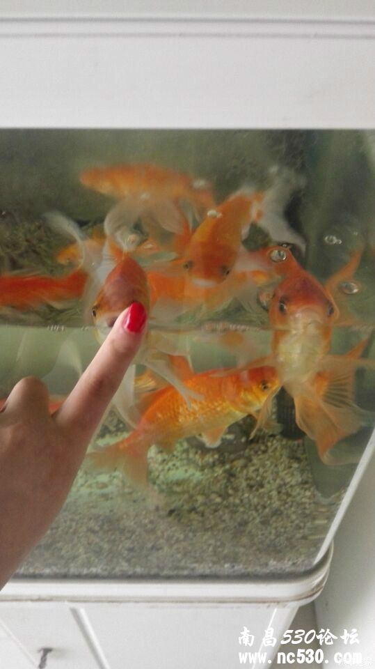 生活中要善于发现与分享