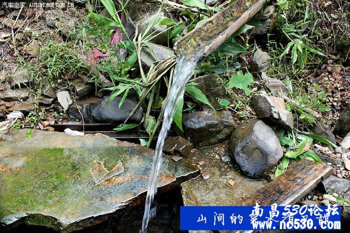 自驾行摄天然“氧吧”杨家坪神清气爽美不胜收