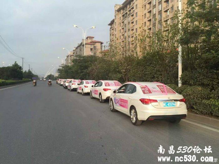 遇一人白首，择一城终老， 雪铁龙给你相濡以沫的爱意