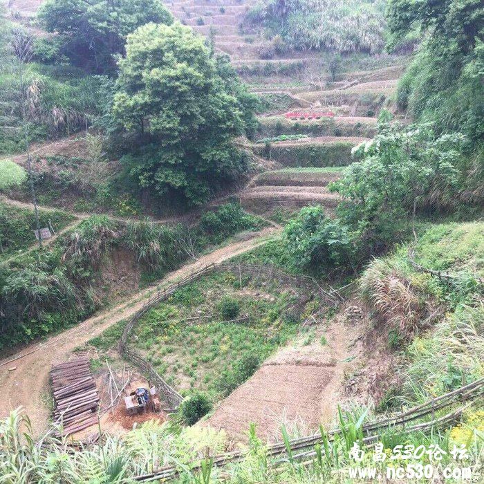 修河探源，金矿寻宝，山林穿越