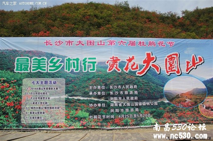 五一大围山赏杜鹃游