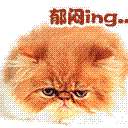 纠结啊  从乐风到悦动 世嘉 福瑞迪 ......