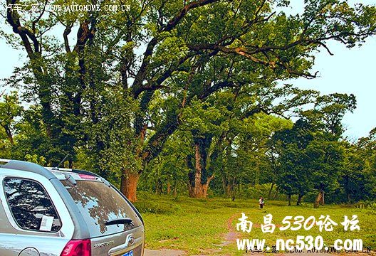 老头新入会，帅哥美女们多多关照！！！