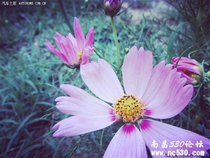 那个雨天，赋予了我知晓生死的能力