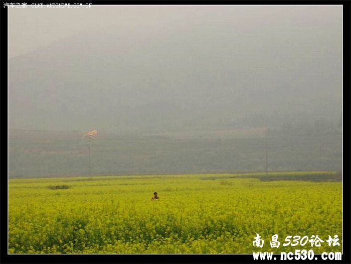 面对素朴，我们还能安然处之？