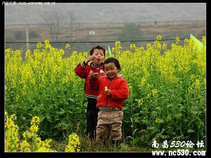 面对素朴，我们还能安然处之？