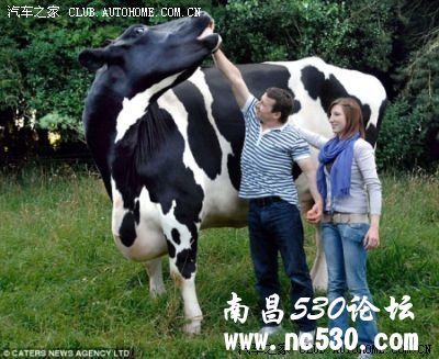 看看国外的农业。。。真是大啊!!!