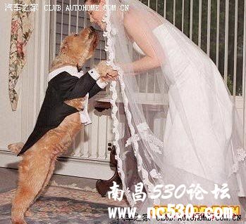 真正的“色狼”