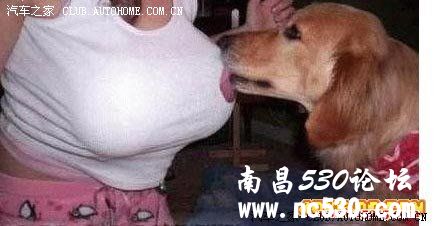 真正的“色狼”