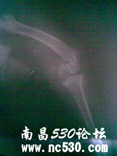 有武昌的朋友在吗？