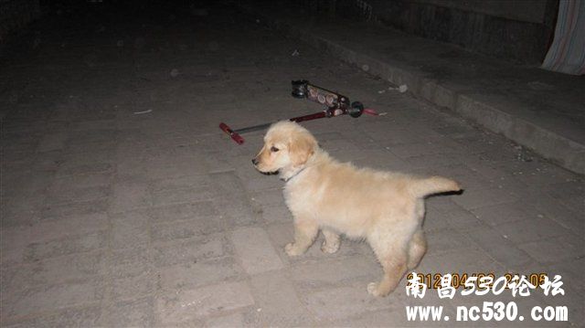 求鉴定，看看Y的多大了。