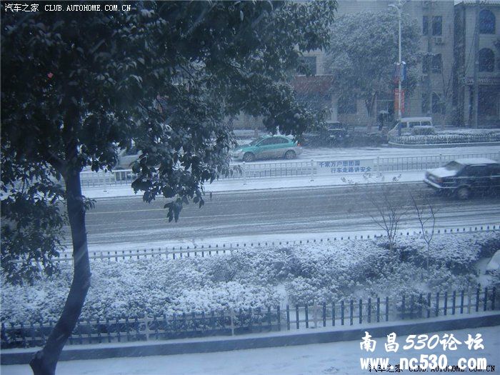 2011年第2场雪~
