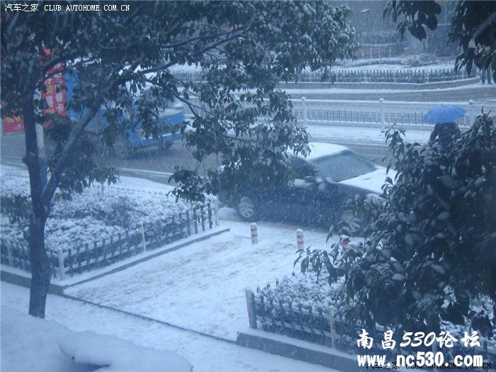 2011年第2场雪~