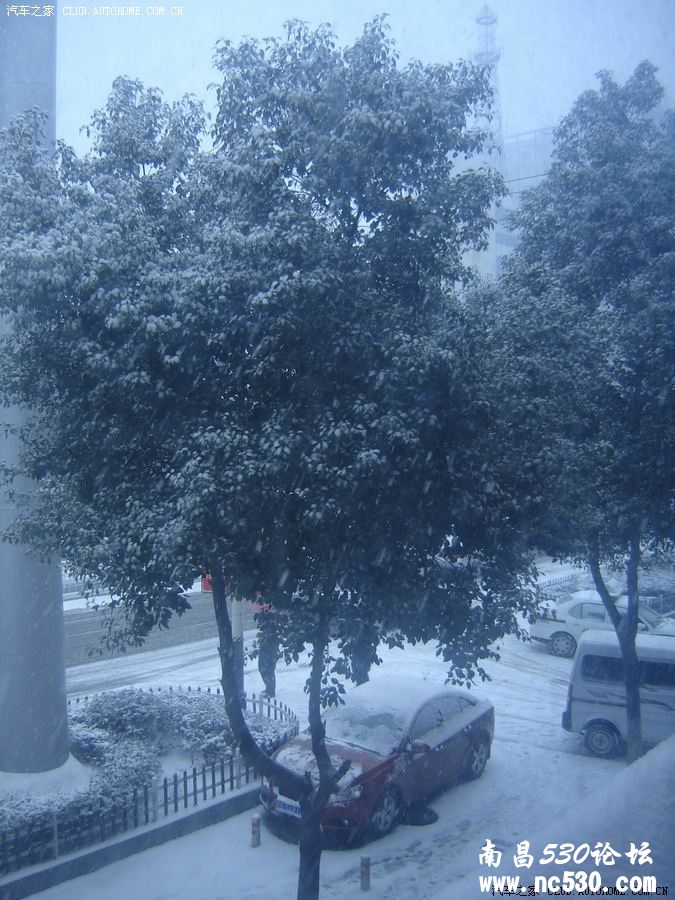 2011年第2场雪~