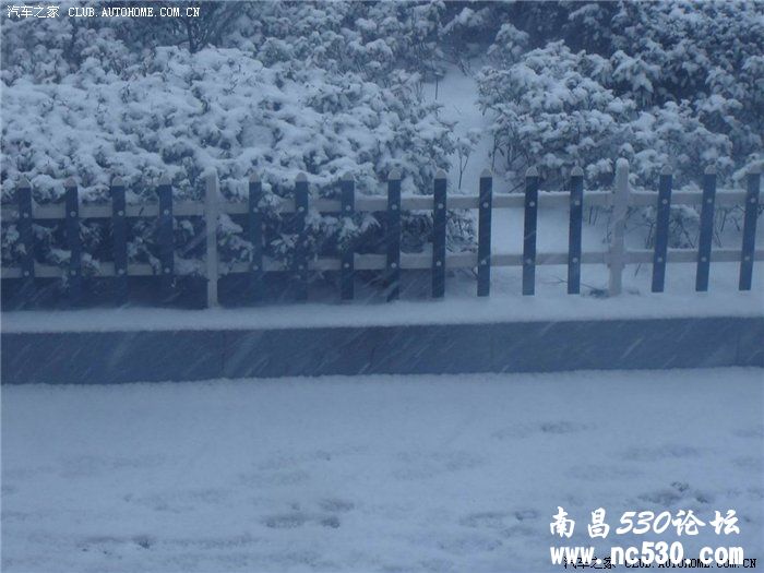 2011年第2场雪~