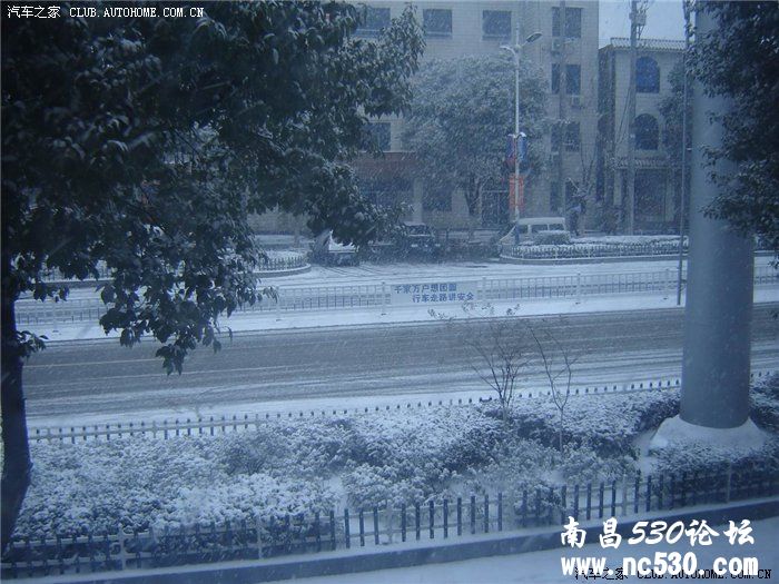 2011年第2场雪~