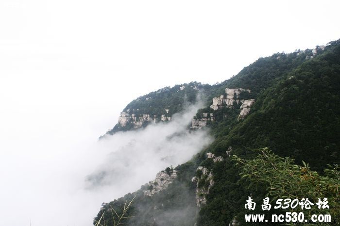 烟雨庐山------庐山归来交作业