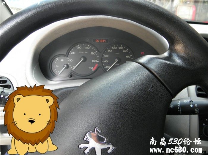 我的小狮子—标致206