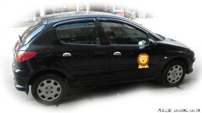 我的小狮子—标致206