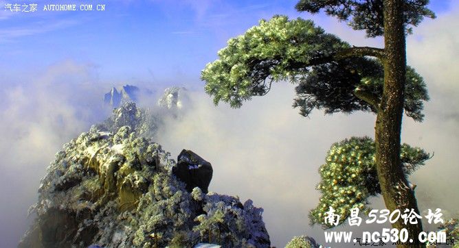 三清山冬韵-（2010自驾游）