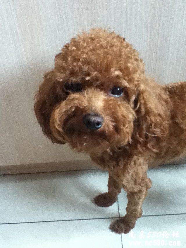 帮忙看看纯吗？