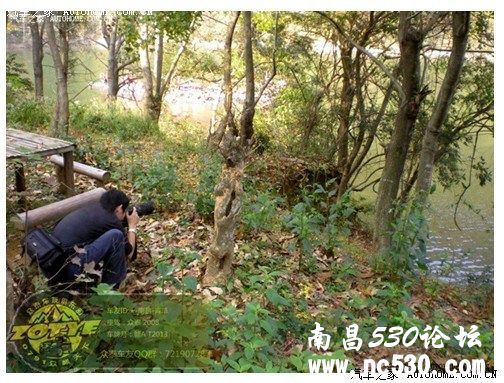 续篇自驾游！！