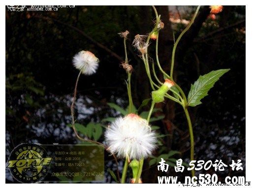 续篇自驾游！！