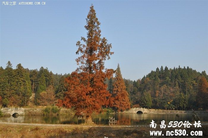 佛教保富法----献给少数有缘人，献给少数幸福的人！