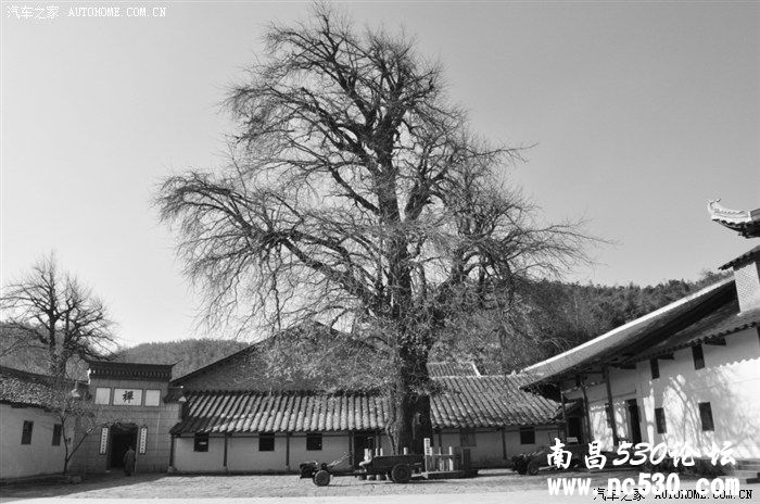 佛教保富法----献给少数有缘人，献给少数幸福的人！