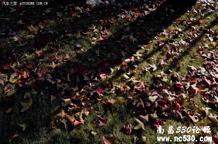 江西武功山之旅（18楼、22楼更新了图片）