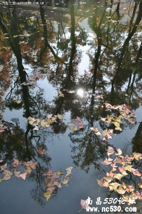 江西武功山之旅（18楼、22楼更新了图片）