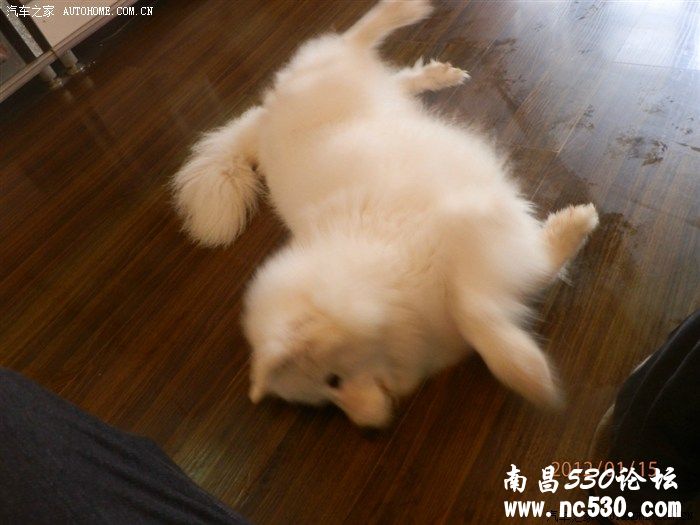 好幸运哈，差一点进去了！！！！！