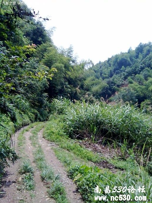 东坑坞的记忆，接外婆。