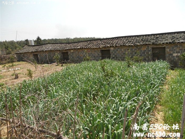 我们的生态果园-----你还满足于玩QQ农场吗？