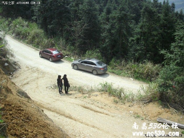 春游到宜春来看----花----美的赏受