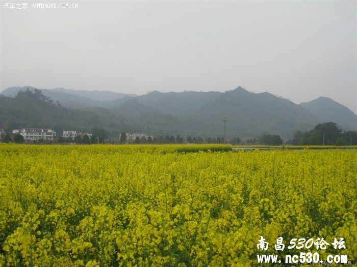 山水匡庐  心情之旅