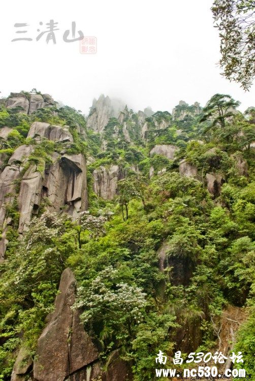 六一自驾游之三清山