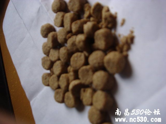 大家帮我来分辨卡比狗粮真假