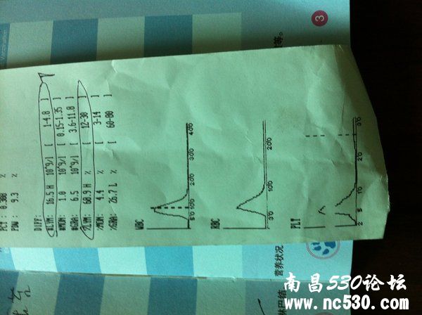 【5年约克夏】约克夏咳嗽 喘的厉害 心脏肥大 救救她吧