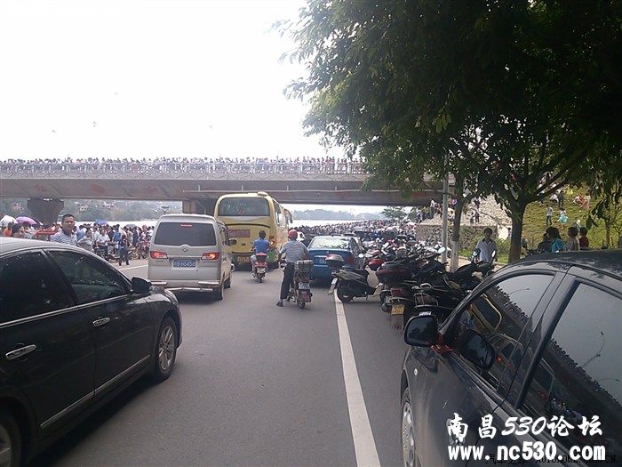 赣州市端午节西河大桥划龙舟比赛 大家来看看吧