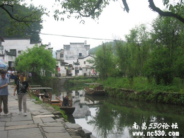 5月的婺源，没有油菜花。5月的庐山，雾茫茫。