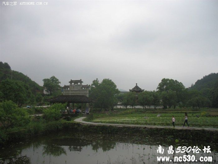 5月的婺源，没有油菜花。5月的庐山，雾茫茫。