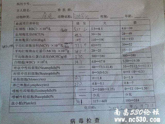 狗狗得了真菌马拉色菌和炎性细胞感染，请问用什么药物较好？