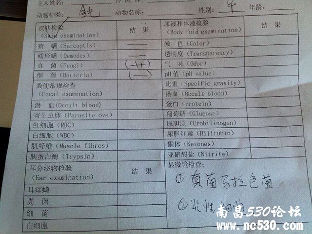 狗狗得了真菌马拉色菌和炎性细胞感染，请问用什么药物较好？