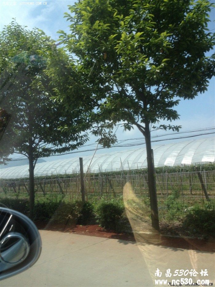 周末“休闲”一日游